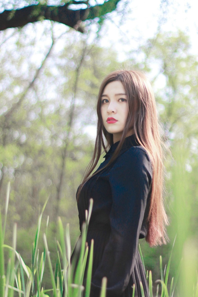 平平无奇一快穿